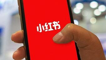 小红书爆料网红事件视频,揭秘小红书热门爆料背后的真相 第2张 小红书爆料网红事件视频,揭秘小红书热门爆料背后的真相 第2张